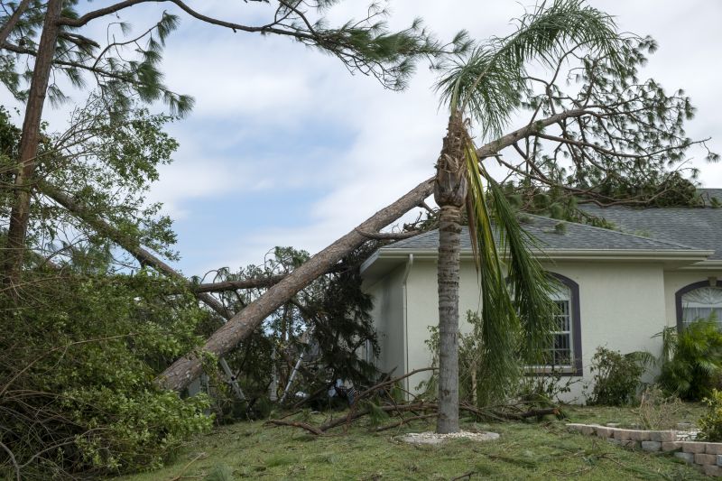 Storm Damage Roof Repair detail